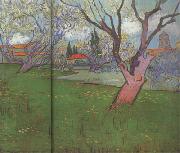 Vincent Van Gogh View of Arles with Trees in Blossom (nn04) oil